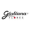 Giuliana Flores Giuliana Flores